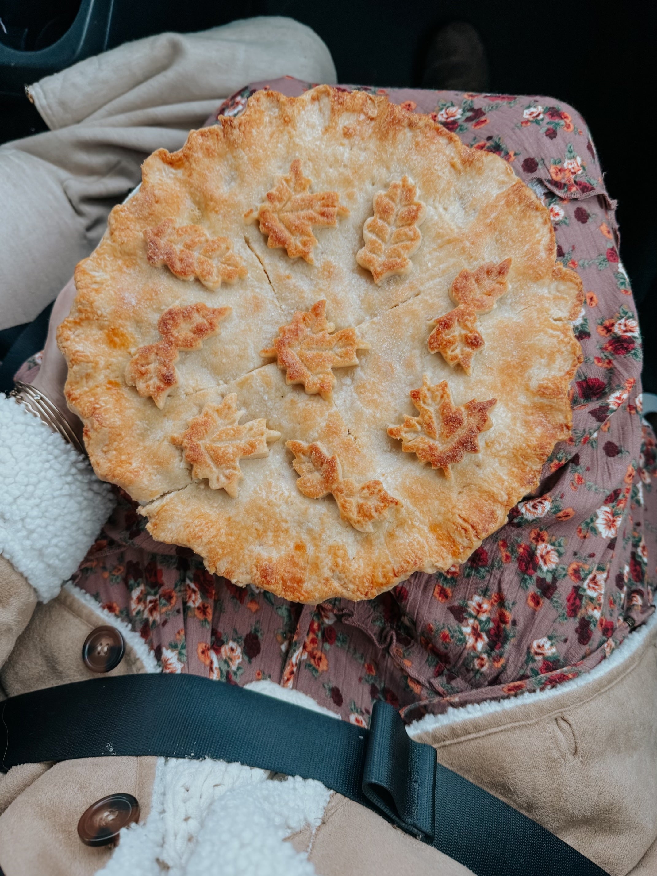 Audrey's Beef Tallow Pie Crust