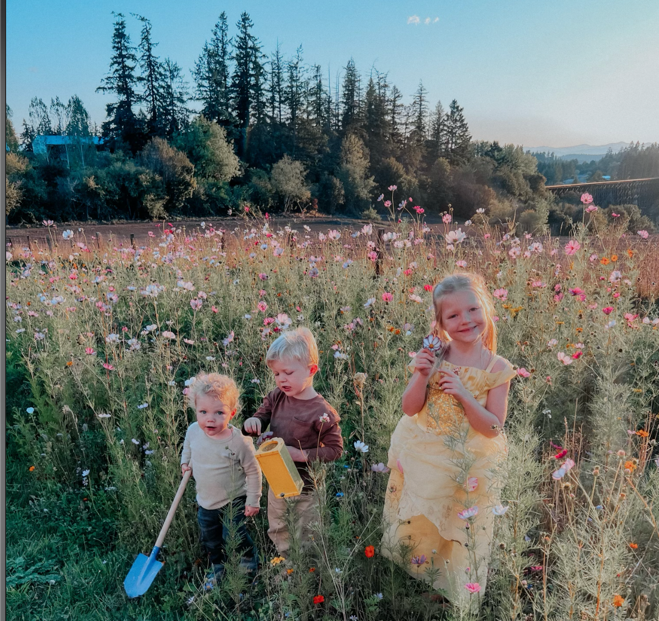 Ep 104: How Spending 1,000 Hours Outside Benefits Kids + Protects Childhood with Ginny Yurich